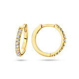 14 Karaat Geelgouden Klapoorringen met Diamant 0.23ct (2x0.115)
