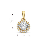 14 Karaat Geelgouden Hanger met Zirkonia - Formaat 8x14mm