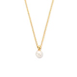 Geelgouden collier lengte 41cm+4 - Zoetwater Parel 5.5 mm- 14Krt. Goud