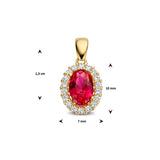 14 Karaat Geelgouden Hanger met Rood en Wit Zirkonia - Formaat 7x13mm