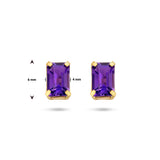 Oorknoppen van 14 Karaat Geelgoud met Amethist 1.06ct (2x 0.53ct)
