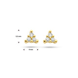Oorknoppen met Diamant 0.05ct (2x 0.025ct) van 14 Karaat Geelgoud - Formaat 4x3.5mm