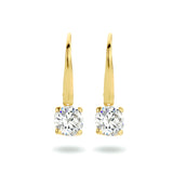 Oorhangers van 14 Karaat Geelgoud, Brisur Haak, met Zirkonia - Formaat 6x19mm
