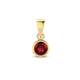 Hanger met Geboortesteen Januari | Granaat met 14 Karaat Geelgoud - Formaat 5 x 11mm