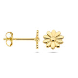 14 Karaat Geelgouden Oorknoppen in Bloemvorm - Diameter 6 mm