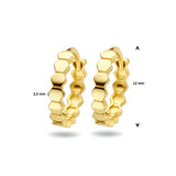 14 Karaat Geelgouden Klapoorringen Zeshoek - Diameter 12mm en Dikte 2.5mm