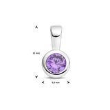Hanger met Geboortesteen Februari | Paarse Zirkonia met Gerhodineerd Zilver - Formaat 5.5 x11mm