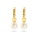14 Karaat Geelgouden Klapoorringen diameter 10.5 mm met Parel 5.5 mm