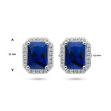 Oorknoppen met Blauw en Wit Zirkonia van Gerhodineerd Zilver - Formaat 9.5x11mm