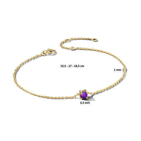 Damesarmband van 14 Karaat Geelgoud met Geboortesteen Amethist Februari - Lengte 15,5+3cm