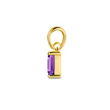 Geboortesteenhanger Februari | Amethist met 14 Karaat Geelgoud - Formaat 2 x 9mm
