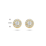 Ronde Oorknoppen van 14 Karaat Geelgoud met Zirkonia - Diameter 5.5mm