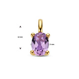 Hanger Amethist 0.65ct, 14 Karaat Geelgoud - formaat 5 x 12 mm