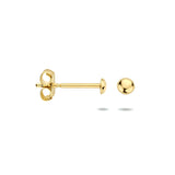 Oorknoppen van 14 Karaat Geelgoud - Diameter 2.5mm