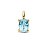 14 Karaat Geelgouden hanger met Blauw Topaas 1.10ct - Formaat 5.5 x 12 mm