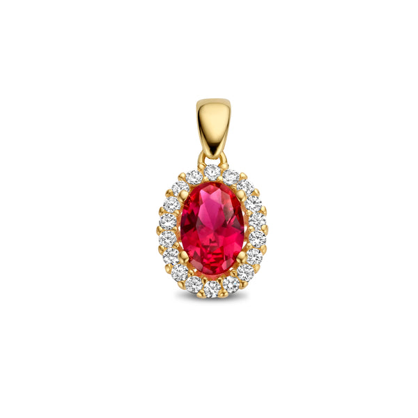 14 Karaat Geelgouden Hanger met Rood en Wit Zirkonia - Formaat 7x13mm