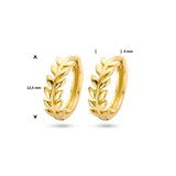 14 Karaat Geelgouden Klapoorringen Veer - Diameter 12.5mm en Breedte 4mm