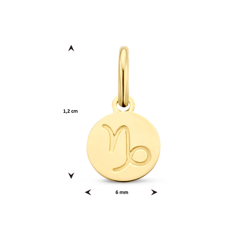 Ronde hanger 6 mm Sterrenbeeld Steenbok van 14 Karaat Geelgoud