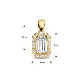 14 Karaat Geelgouden Hanger met Zirkonia - Formaat 6x12mm
