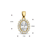 14 Karaat Geelgouden Hanger met Zirkonia - Formaat 7x13mm