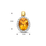 Geelgouden hanger met Citrien 0.50ct en Diamant 0.08ct - 14Krt. Goud - formaat 7.5 x 13 mm