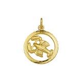 Hanger Sterrenbeeld Gediamanteerd Goud (Geelgoud)