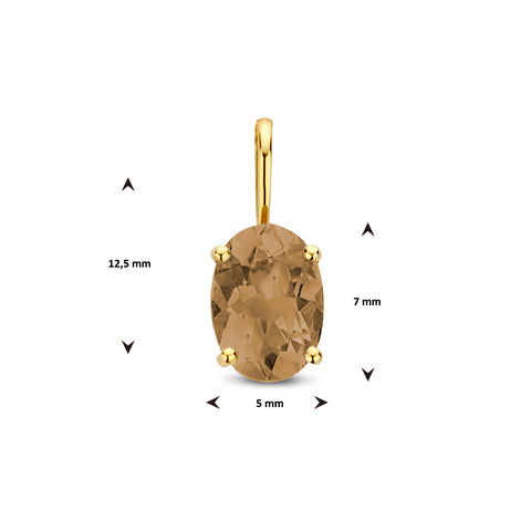 14 Karaat Geelgouden Hanger met Rookkwarts 0.73ct - Formaat 5 x 7mm