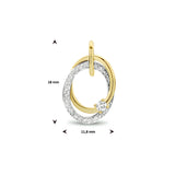 Hanger Diamant 0.14ct H Si Goud (Bicolor Goud Geel/Wit)