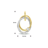 Ronde hanger met Diamant 0.14ct - Bicolor - 14 Karaat Wit- en Geelgoud - Formaat 11.8 x 18 mm
