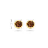 Oorknoppen met Rookkwarts 0.50ct (2x 0.25ct), 14 Karaat Geelgoud - Diameter 4.5mm