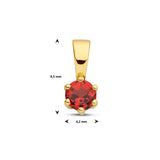 Hanger met Geboortesteen Januari | Granaat met 14 Karaat Geelgoud - Formaat 7.5 x 20mm