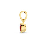Hanger met Geboortesteen Januari | Granaat met 14 Karaat Geelgoud - Formaat 5 x 11mm