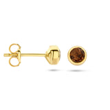 Oorknoppen met Rookkwarts 0.50ct (2x 0.25ct), 14 Karaat Geelgoud - Diameter 4.5mm