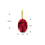 Hanger Rhodoliet 0.98ct 14 Karaat Geelgoud - Formaat 5 x 12.5 mm