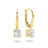 Oorhangers van 14 Karaat Geelgoud, Brisur Haak, met Zirkonia - Formaat 6x19mm