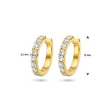 Klapoorringen met Diamant 1.00ct (2x 0.50ct) van 14 Karaat Geelgoud