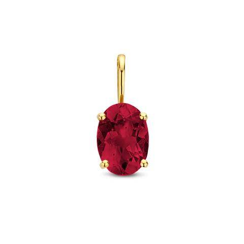 Hanger Rhodoliet 0.98ct 14 Karaat Geelgoud - Formaat 5 x 12.5 mm