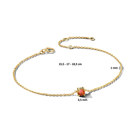 Damesarmband van 14 Karaat Geelgoud met Geboortesteen Granaat Januari - Lengte 17+1.5cm