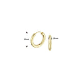 Klapoorringen van 14 Karaat Geelgoud Ronde Buis 2.5 mm - Diameter 15mm