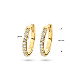 14 Karaat Geelgouden Klapoorringen met Diamant 0.23ct (2x0.115)
