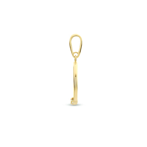 Ronde Hanger met Zirkonia - 14 Karaat Geelgoud - Diameter 10mm