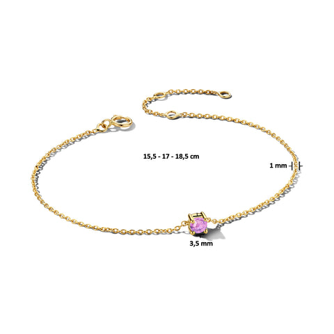 Damesarmband van 14 Karaat Geelgoud met Geboortesteen Amethist Juni - Lengte 15.5+3cm