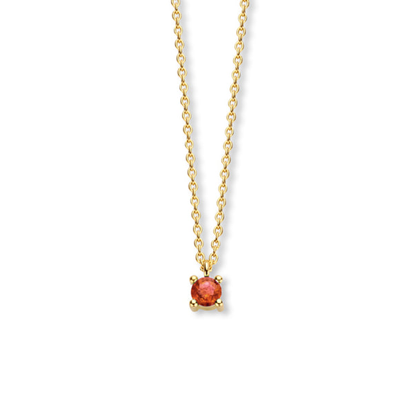 14 Karaat Geelgouden collier - Geboortesteen Granaat Januari - Lengte 40+4cm
