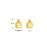 Oorknoppen van 14 Karaat Geelgoud met Citrien 0.48ct (2x 0.24ct) en Diamant (2x 0.015ct)