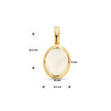 14 Karaat Geelgouden hanger met Maansteen - Formaat 9.5 x 18.5 mm