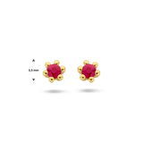 14 Karaat Geelgouden oorknoppen met Robijn 0.14ct (2x 0.070ct) - formaat 3.5 mm